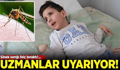 Uyurken ısıran sivrisinek beyninde iltihaba neden oldu