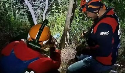yalova'da Kayıp vatandaş ormanda ölü bulundu