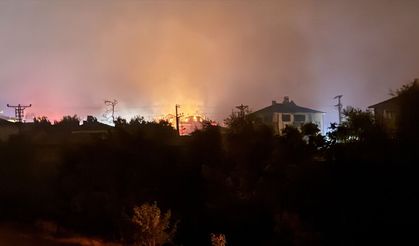 Sakarya'da ormanlık alanda çıkan yangına müdahale ediliyor