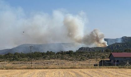 Afyonkarahisar'a sıçrayan yangına müdahale sürüyor