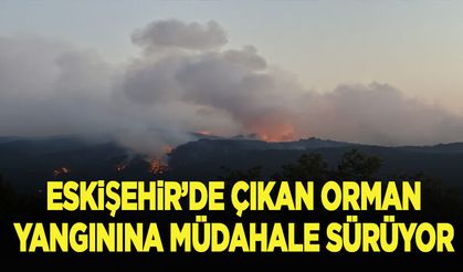 Eskişehir'de ormanlık alanda çıkan yangına müdahale sürüyor