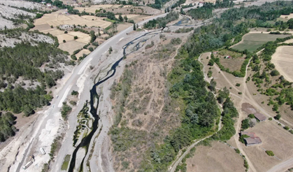 Kastamonu'da 32 senede binlerce fidan dikti