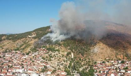 Tokat'taki orman yangını kontrol altına alındı