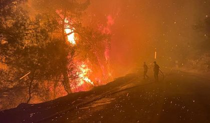 Milas'ta çıkan orman yangınına müdahale ediliyor