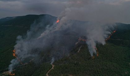 Kastamonu'da ormanlık alandaki 2 yangına müdahale sürüyor