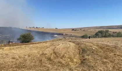 Çorum'da orman yangını