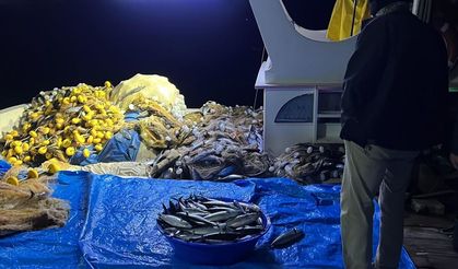 Sinop'ta balıkçılar bir gecede 3 bin 200 palamut avladı