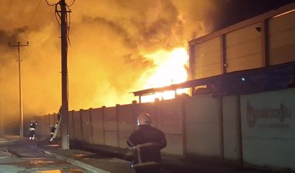 Samsun'da geri dönüşüm fabrikasında yangın