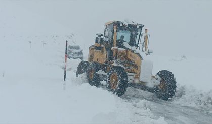 Hakkari ve Muş'ta kapanan 44 yerleşim yerinin yolu ulaşıma açıldı