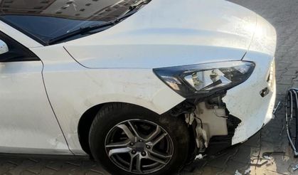 Sivas'ta başıboş köpekler otomobile 108 bin liralık zarar verdi