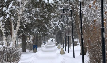 Erzurum sıfırın altında 30,3 dereceyle Türkiye'nin en soğuk ili oldu