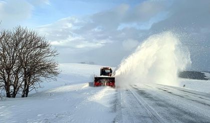 Ardahan'da Türkgözü-Posof-Damal kara yolu kar ve tipi nedeniyle kapatıldı