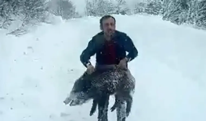 Sinop'ta domuzu eliyle yakalayan kişiye kesilen ceza iptal oldu