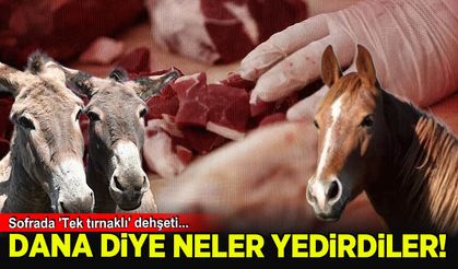 Sofrada 'Tek tırnaklı' skandalı: Dana diye at ve eşek eti yedirdiler!