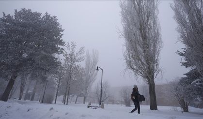 Doğu Anadolu'da 5 ilde soğuk hava ve sis etkili oluyor
