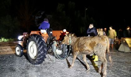 Muğla'nın Seydikemer ilçesindeki su baskını nedeniyle bazı evler tahliye edildi