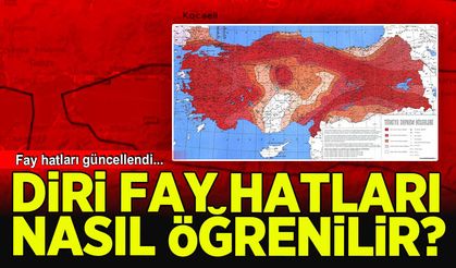 Kocaeli'de diri fay hattı alarmı: risk altındaki o ilçeler ve mahalleler tek tek açıklandı
