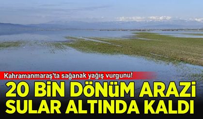 Kahramanmaraş'ta sağanak yağış vurgunu! 20 bin dönüm arazi sular altında