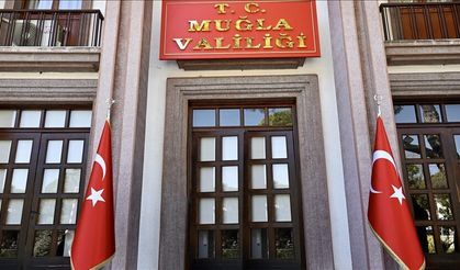 Muğla Valiliği, Milas’ta zeytin ağaçlarının kesildiği iddiası üzerine inceleme başlattı