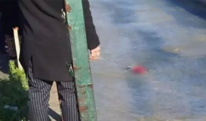 Samsun'da derede erkek cesedi bulundu