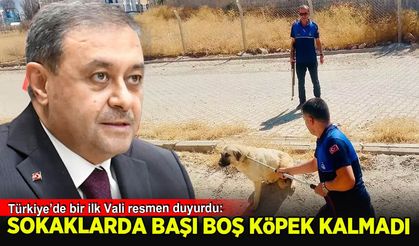 Türkiye'de  bir ilk! Şanlıurfa Valisi duyurdu: 'Sokaklarda başı boş köpek kalmadı'