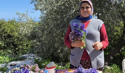 Tayyar Yeşilyurt yazdı: Herkes Kur’an’a geçti… Ben Elif’te kaldım