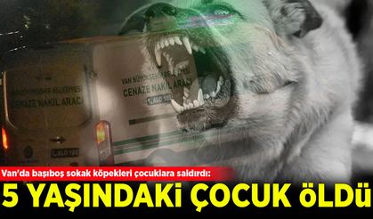 Van'da başıboş sokak köpekleri çocuklara saldırdı: 5 yaşındaki Hamza öldü