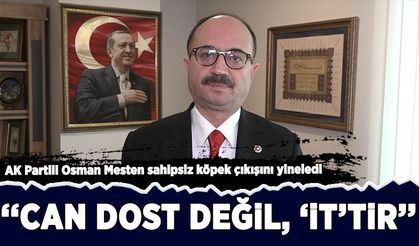 AK Partili Osman Mesten sahipsiz köpek çıkışını yineledi: ''Can dost değil, 'it'tir''