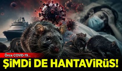 Önce COVID-19 şimdi de Hantavirüs!