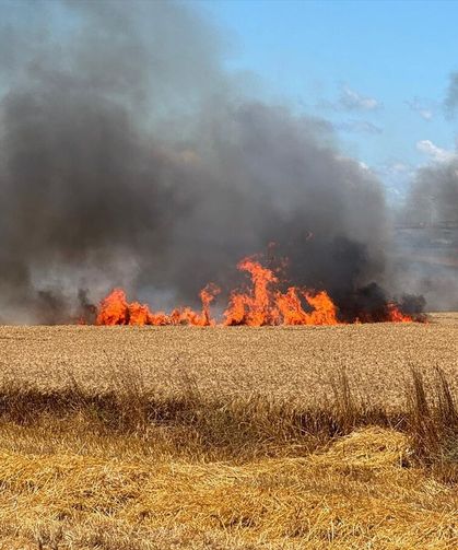 Silivri'de kırsal alanda çıkan yangına müdahale ediliyor