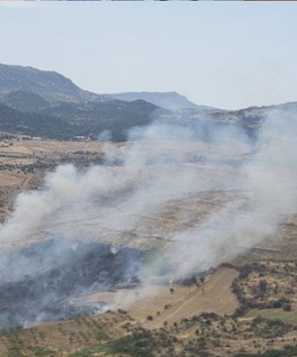 Çanakkale'de korkutan orman yangını!