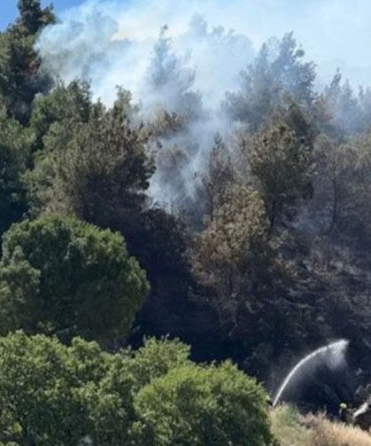 Balıkesir'de orman yangını çıktı