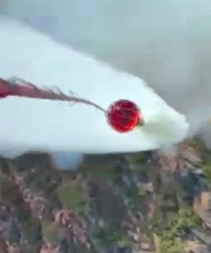 Muğla'da orman yangını
