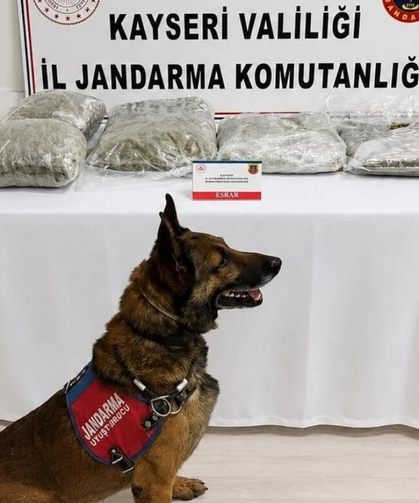 Kayseri'de 5 kilo esrarla yakalanan CHP'li Meclis üyesi tutuklandı