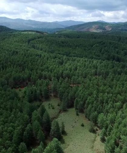 Çanakkale'de açık alanlarda ateş yakılması yasaklandı