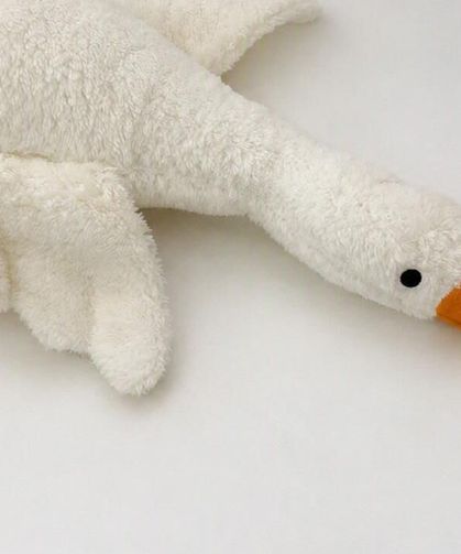 Bakanlık duyurdu: Peluş kaz oyuncağı piyasadan toplatılıyor