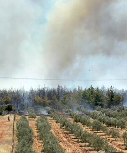 Antalya'da orman yangını: Evler tahliye edildi