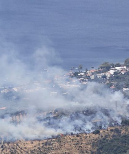 Balıkesir'in Erdek ilçesinde makilik ve zeytinlik alanda yangın çıktı