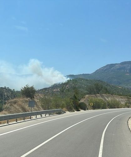 Mersin'de çıkan orman yangını kontrol altına alındı