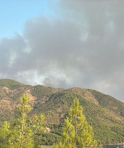 Marmaris'te çıkan orman yangınına müdahale ediliyor