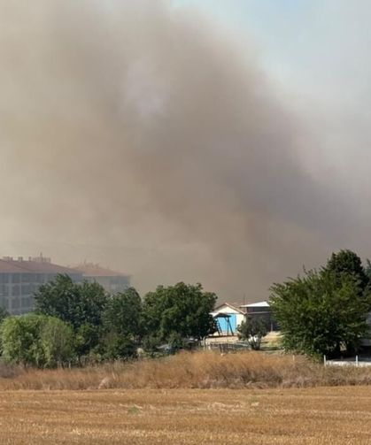 Silivri'de tarlada başlayan yangın yayıldı