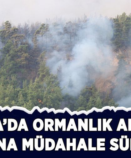 Antalya'da ormanlık alandaki yangına müdahale sürüyor