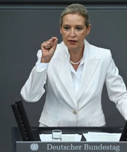 AfD'den Almanya'daki Ukraynalılara çağrı: Eve dönün