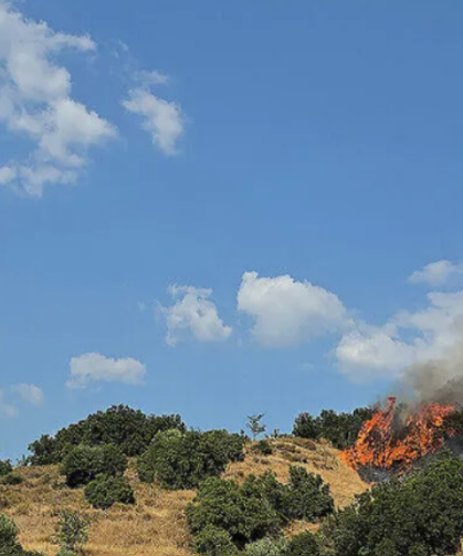 Manisa'nın Soma ilçesinde orman yangını çıktı