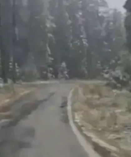 Kastamonu'nun yüksek kesimlerine kar yağdı