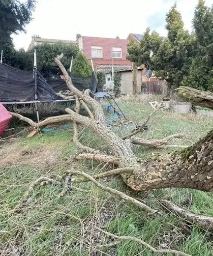 Belçika'da Austen Fırtınası'nın ardından Boelo Fırtınası bekleniyor