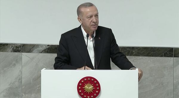 Erdoğan'dan Sezen Aksu'nun şarkı sözlerine sert tepki: Onlara hadlerini bildirmek bizim görevimizdir!