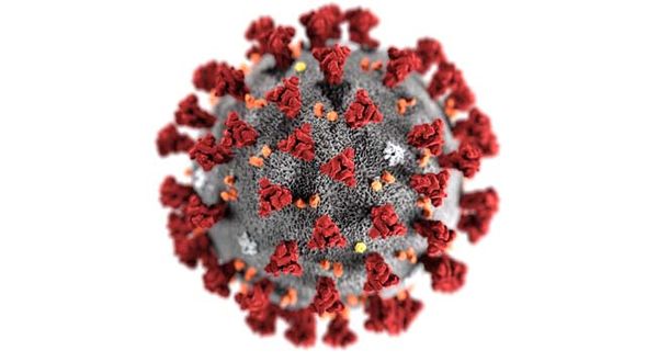 14 Ocak koronavirüs tablosu