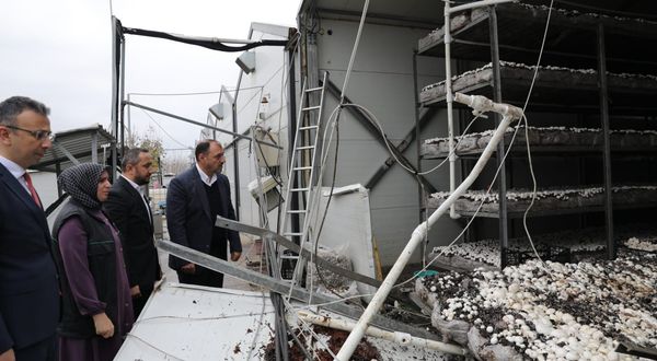 Düzce'de depremin ardından başlatılan hasar tespit çalışmalarında sona gelindi