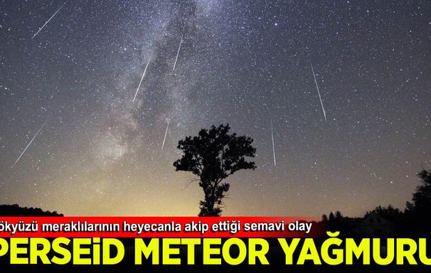 Gökyüzü meraklıları Perseid meteor yağmurunu gözlemledi
